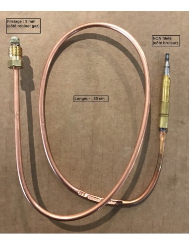 Thermocouple 600mm M9 - non fileté pour vitrine et rôtissoire